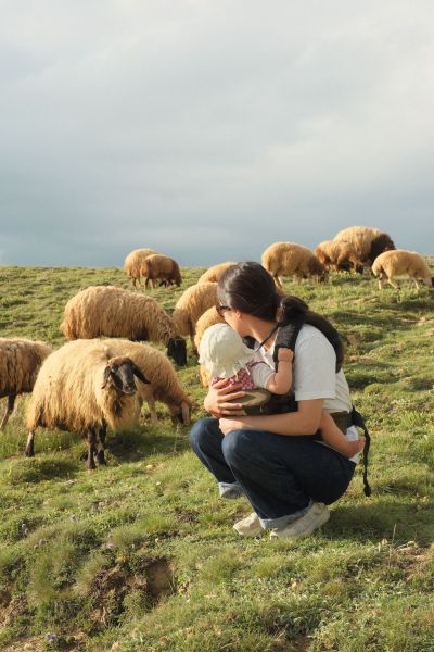 旅先で羊と触れあった
