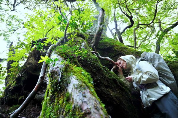 映画「たしかにあった幻」の1シーン